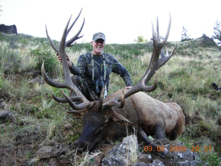 Massive Elk 2