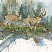 blacktails-web-6-944x5-458-72dpi-002